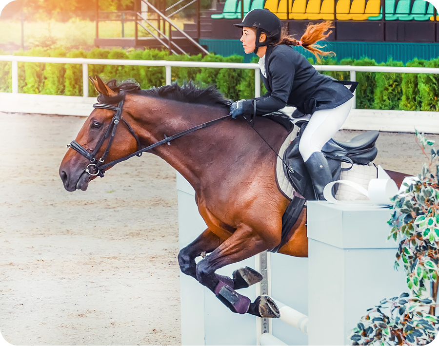 Rider in helmet and boots on horse